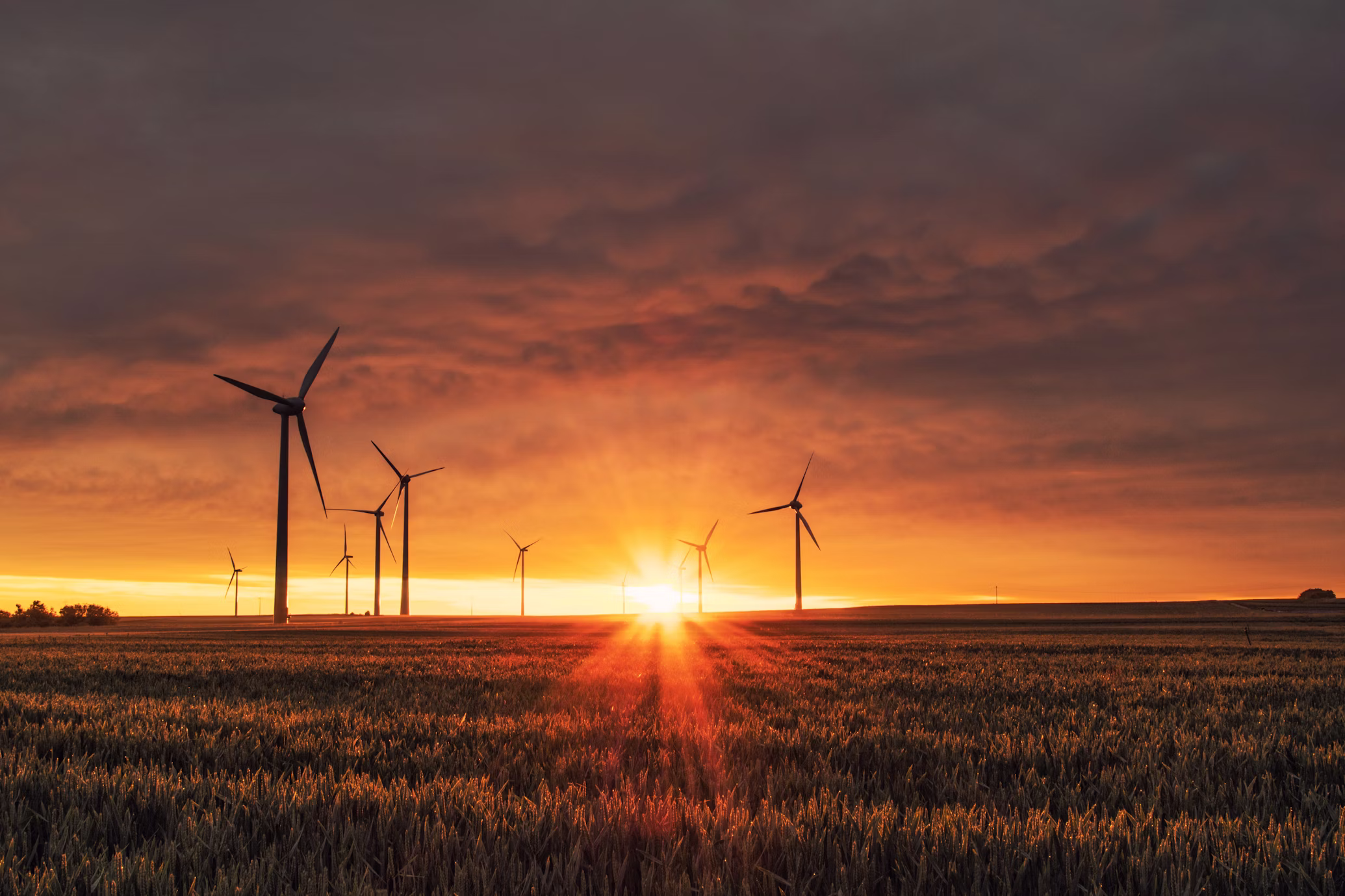 Solar EPC Services